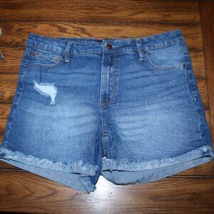 Rachel Roy Denim Shorts